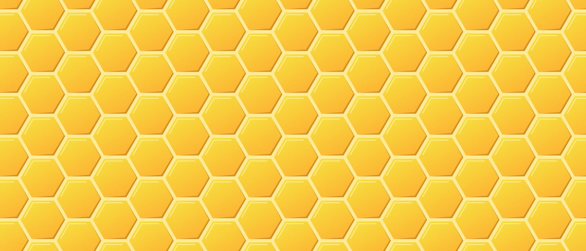 Fresh honeycomb from rescued bees